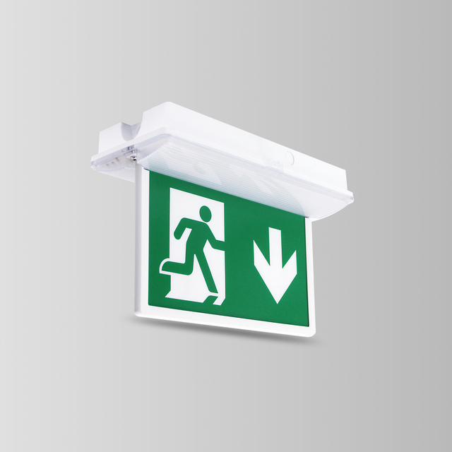 BY-B2036E和BY-B2136E-授权出口标志