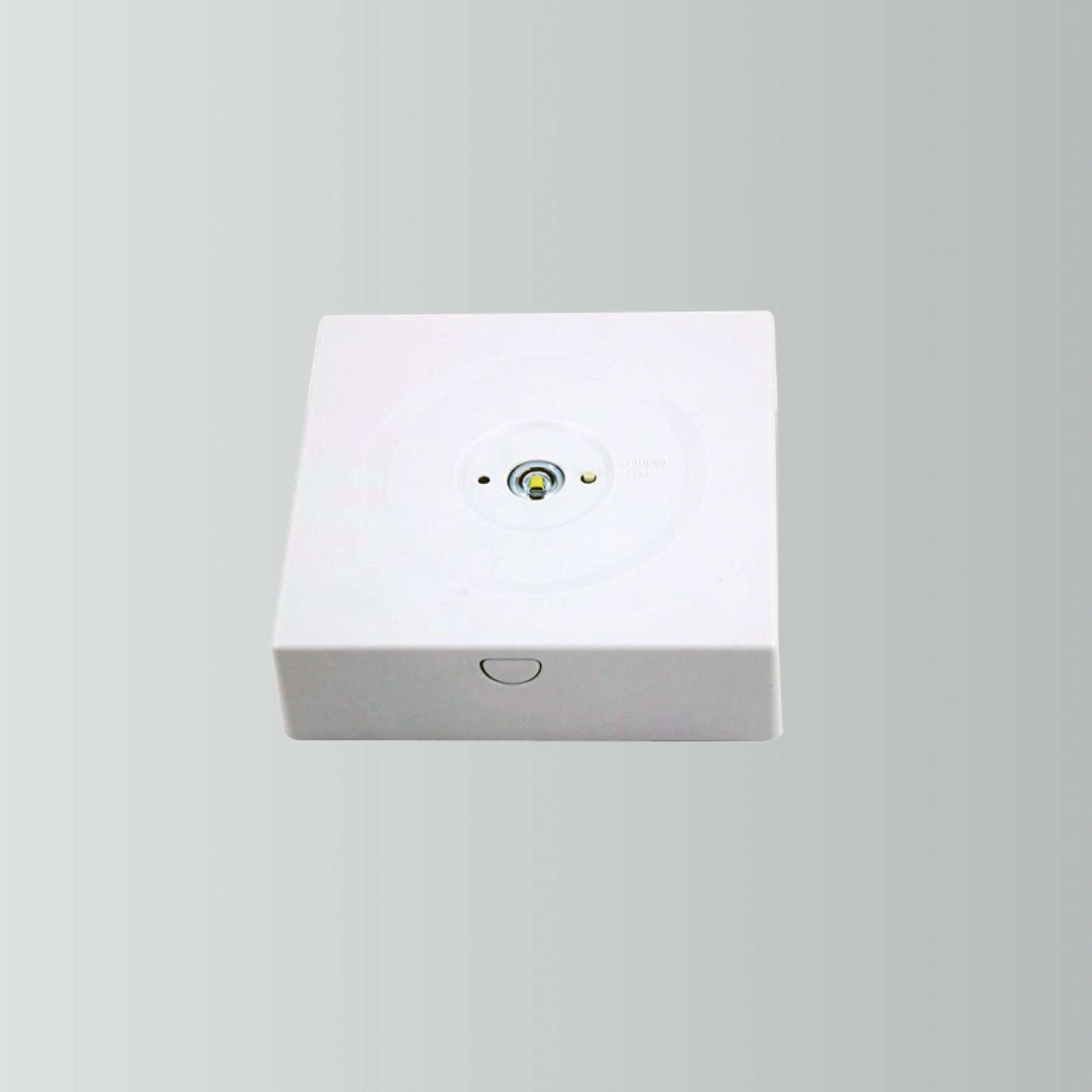 By-Z-Ni-2003s和By-Z-Ni-2005s-抗趋势