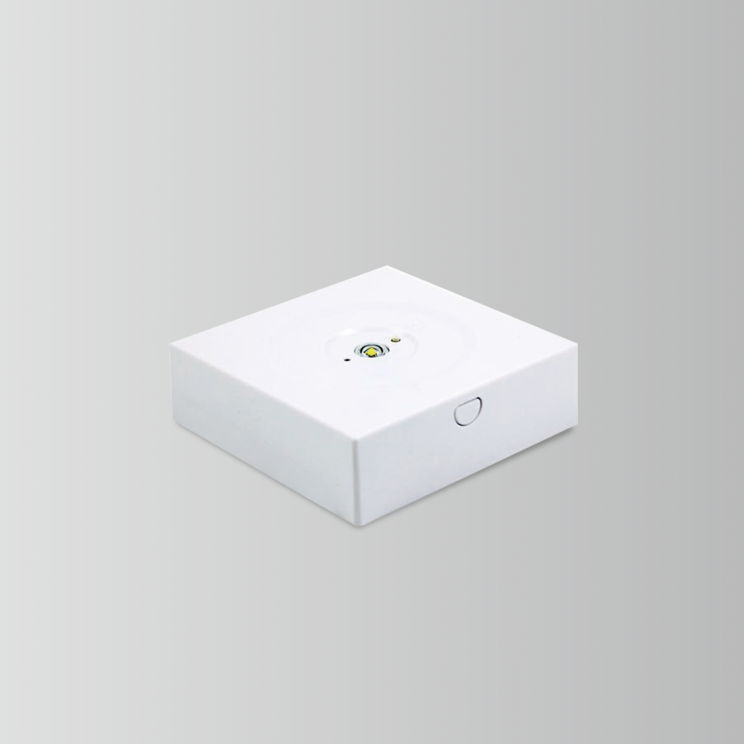 By-Z-Ni-2003s和By-Z-Ni-2005s-抗趋势