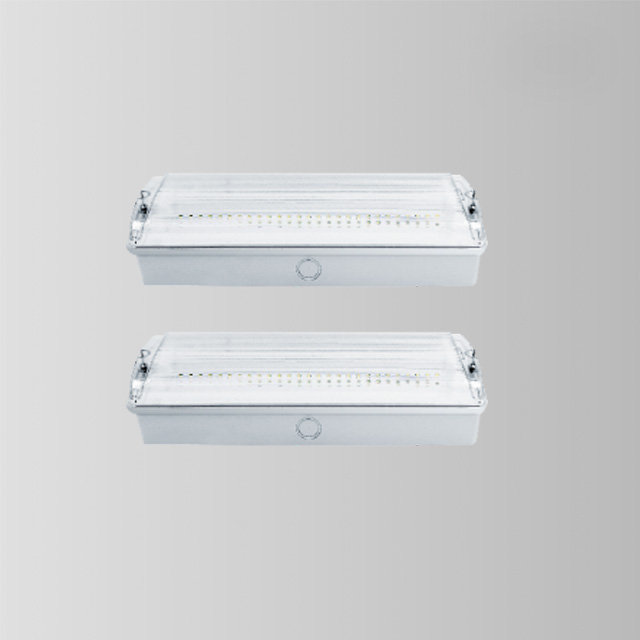 明装式 IP65 LED 应急舱头灯 BY-Z2645E-T